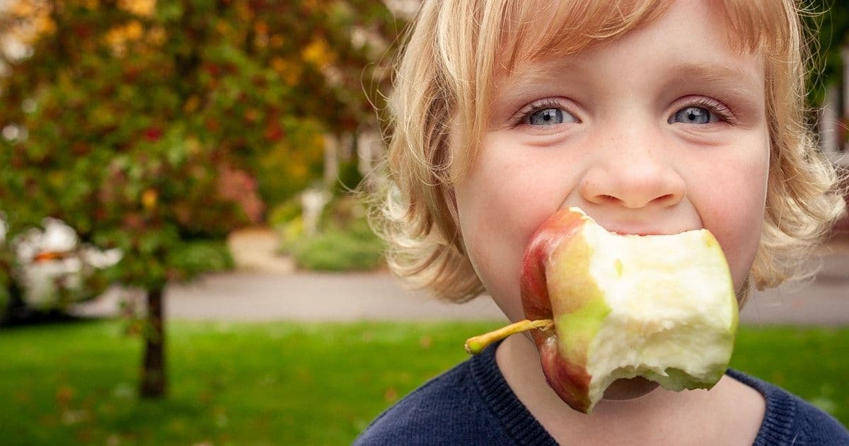 Healthy Eating for Toddlers: A Parent's Guide